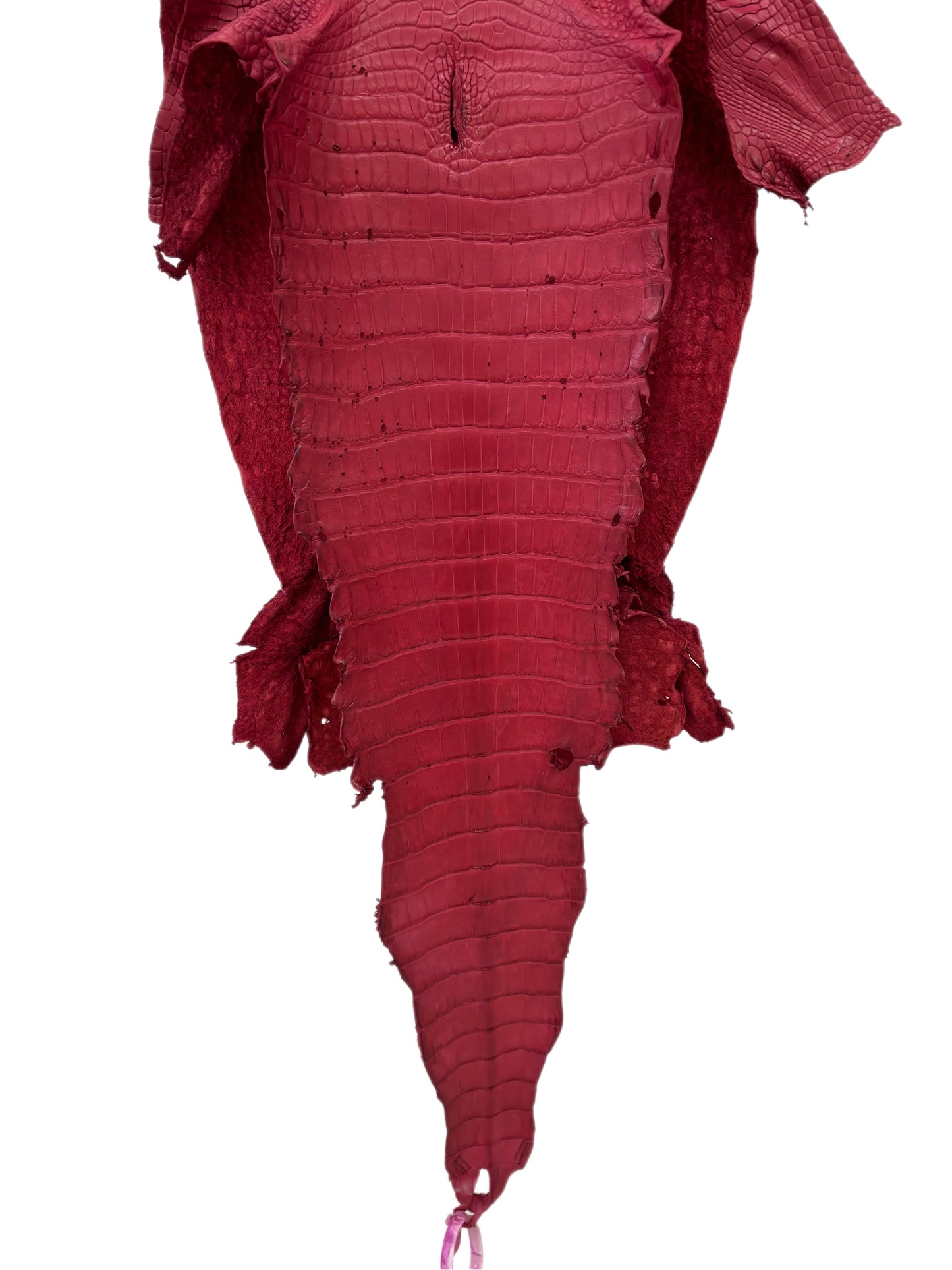 33 cm Grade 3/4 Scarlet Matte Wild American Alligator Leather - Tag: LA23-0051877