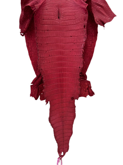 33 cm Grade 3/4 Scarlet Matte Wild American Alligator Leather - Tag: LA23-0051877