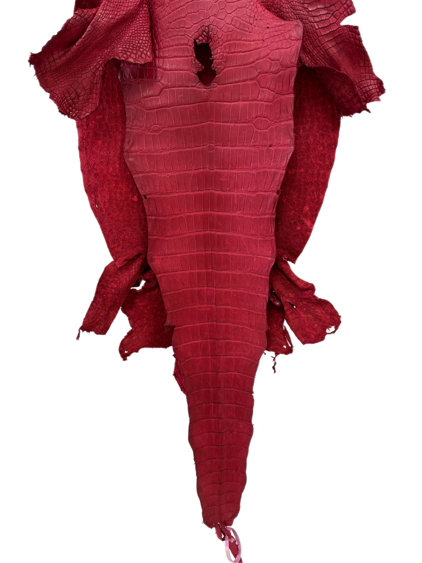 42 cm Grade 3/4 Scarlet Matte Wild American Alligator Leather - Tag: LA23-0002808