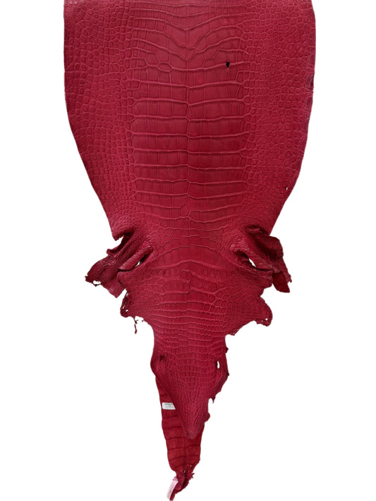 42 cm Grade 3/4 Scarlet Matte Wild American Alligator Leather - Tag: LA23-0002808