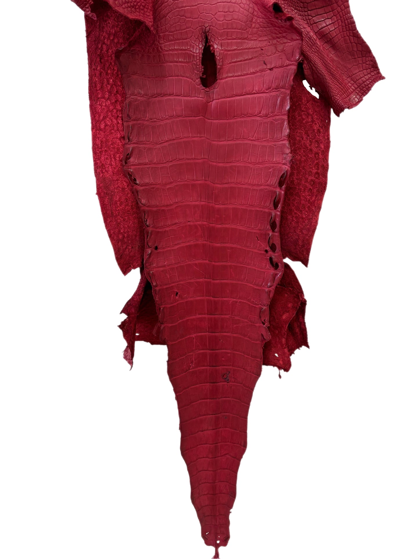 39 cm Grade 3/4 Scarlet Matte Wild American Alligator Leather - Tag: LA23-0025178