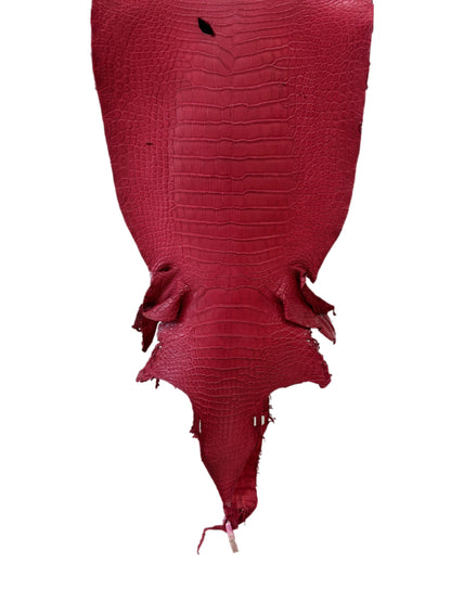 36 cm Grade 3/4 Scarlet Matte Wild American Alligator Leather - Tag: LA23-0050609
