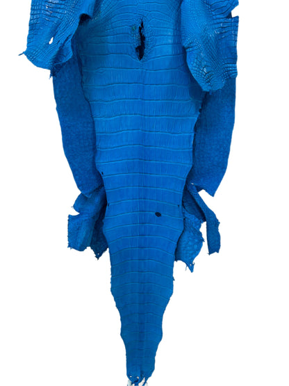 40 cm Grade 2/3 Ultramarine Matte Wild American Alligator Leather - Tag: LA23-0024750