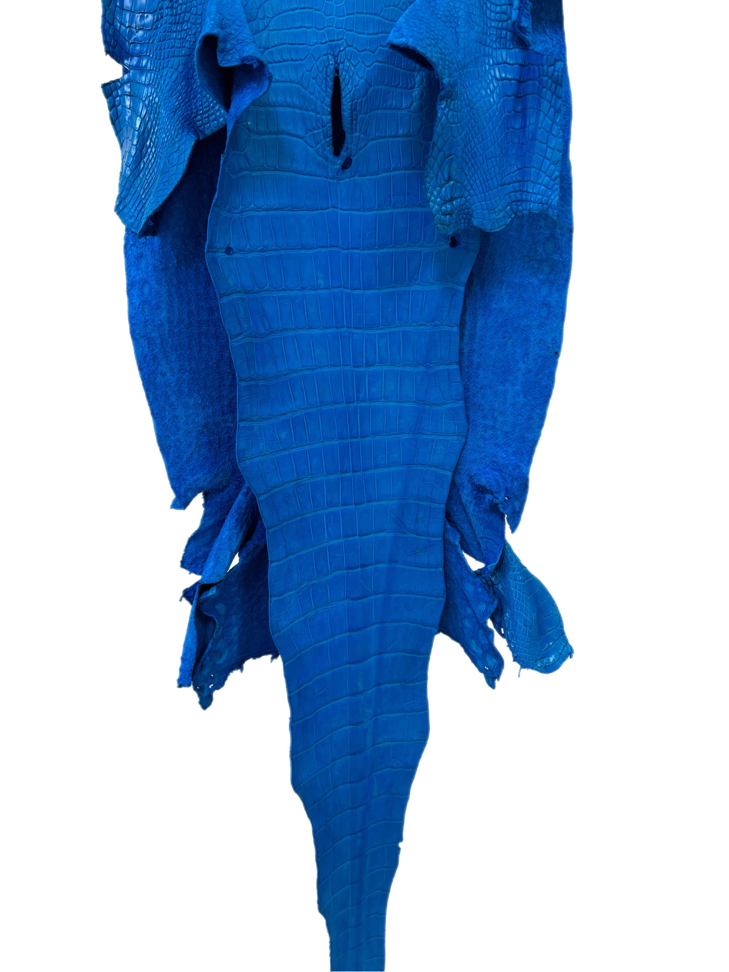 40 cm Grade 2/3 Ultramarine Matte Wild American Alligator Leather - Tag: LA23-0048520
