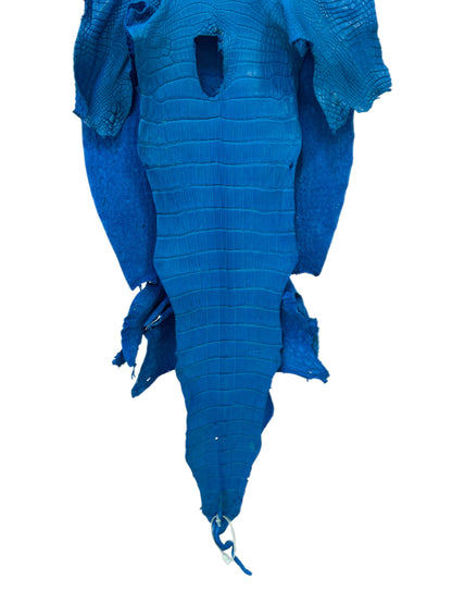 38 cm Grade 3/4 Ultramarine Matte Wild American Alligator Leather - Tag: LA23-0024503