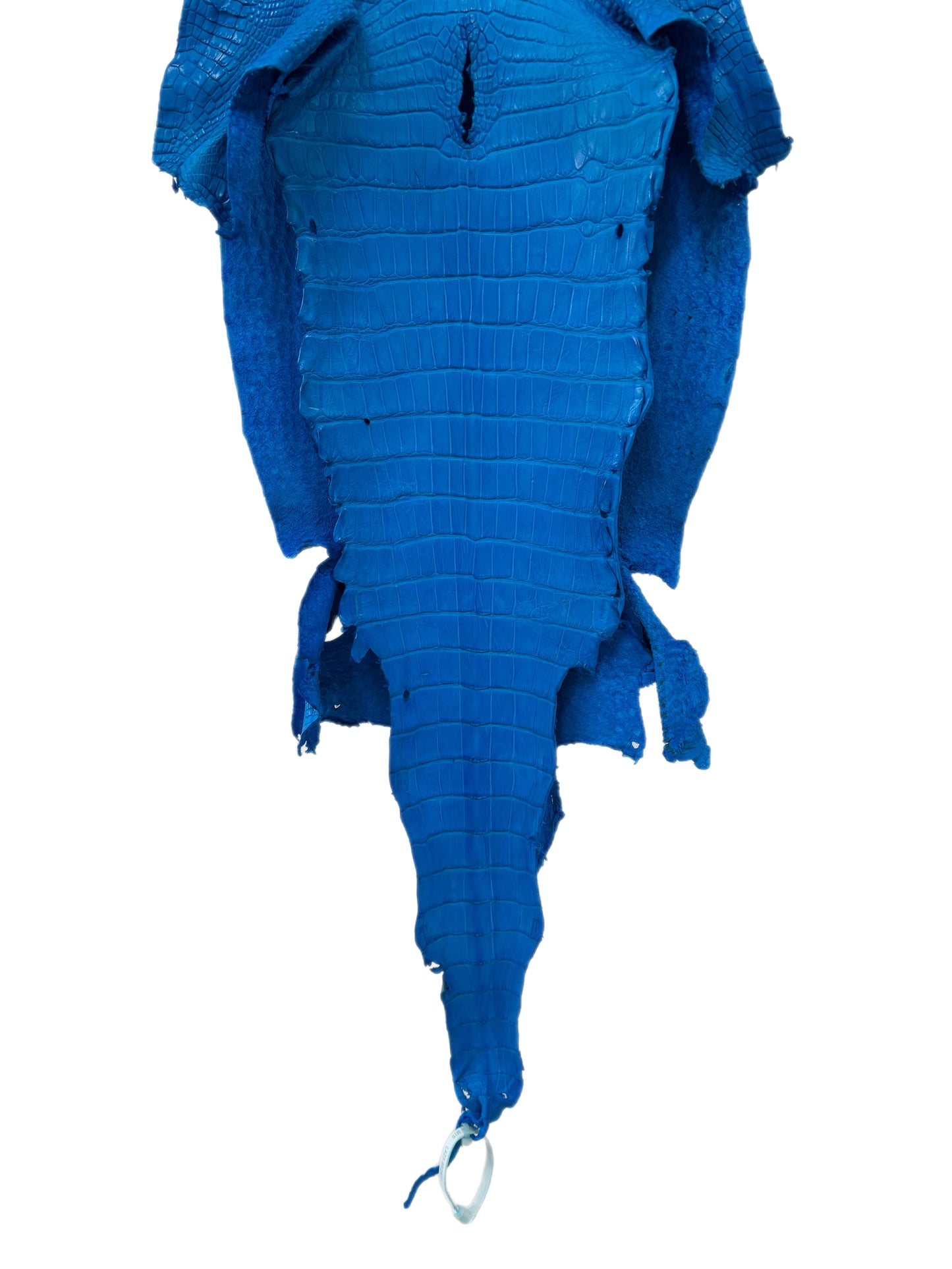 34 cm Grade 2/3 Ultramarine Matte Wild American Alligator Leather - Tag: LA23-0002851