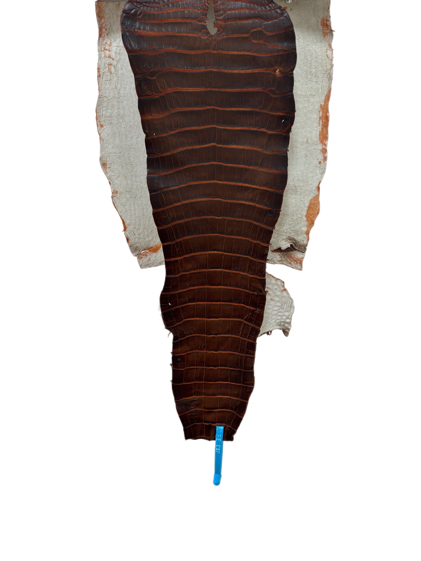 29 cm Grade 1/2 Sienna Matte Wild American Alligator Leather - Tag: ESRE-0050711