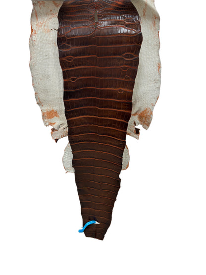 38 cm Grade 1/2 Sienna Matte Wild American Alligator Leather - Tag: ESRE-0050836