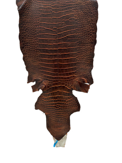 37 cm Grade 1/2 Sienna Matte Wild American Alligator Leather - Tag: ESRE-0050797