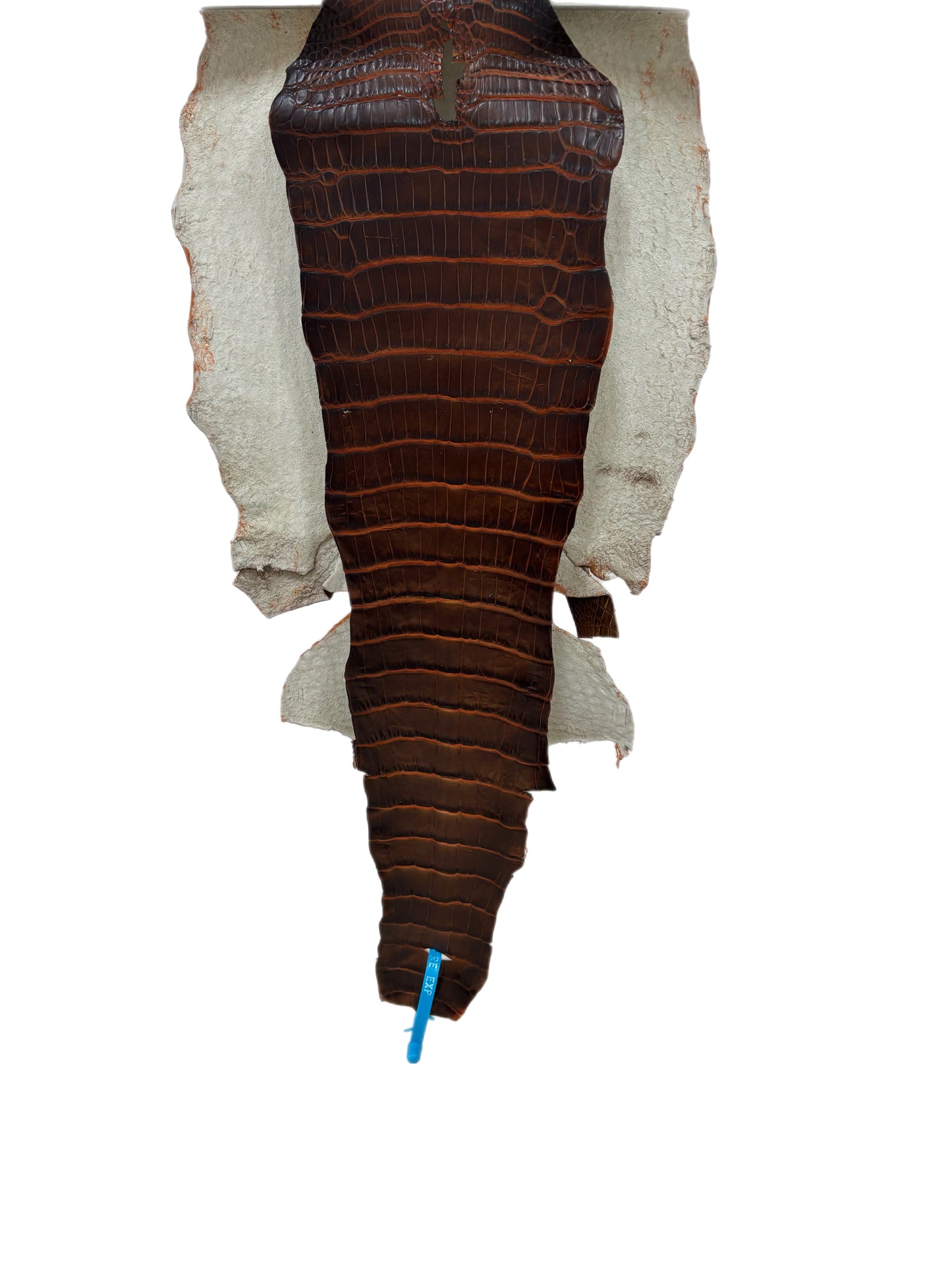 32 cm Grade 2/3 Sienna Matte Wild American Alligator Leather - Tag: ESRE-0050759