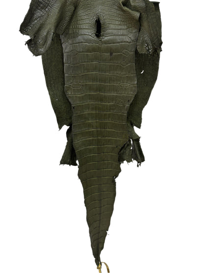 35 cm Grade 2/3 Olive Matte Wild American Alligator Leather - Tag: LA23-0005131