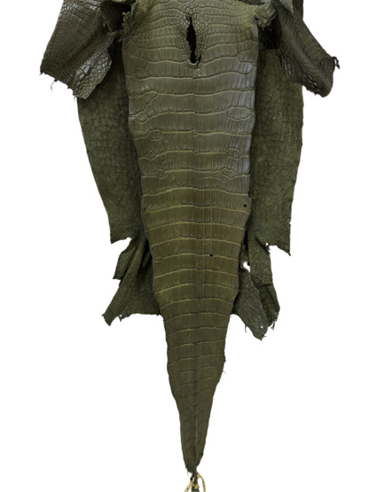 34 cm Grade 2/3 Olive Matte Wild American Alligator Leather - Tag: LA23-0022135
