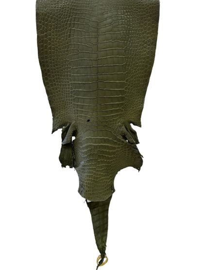 34 cm Grade 2/3 Olive Matte Wild American Alligator Leather - Tag: LA23-0022135