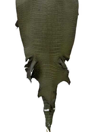 41 cm Grade 2/3 Olive Matte Wild American Alligator Leather - Tag: LA23-0030836