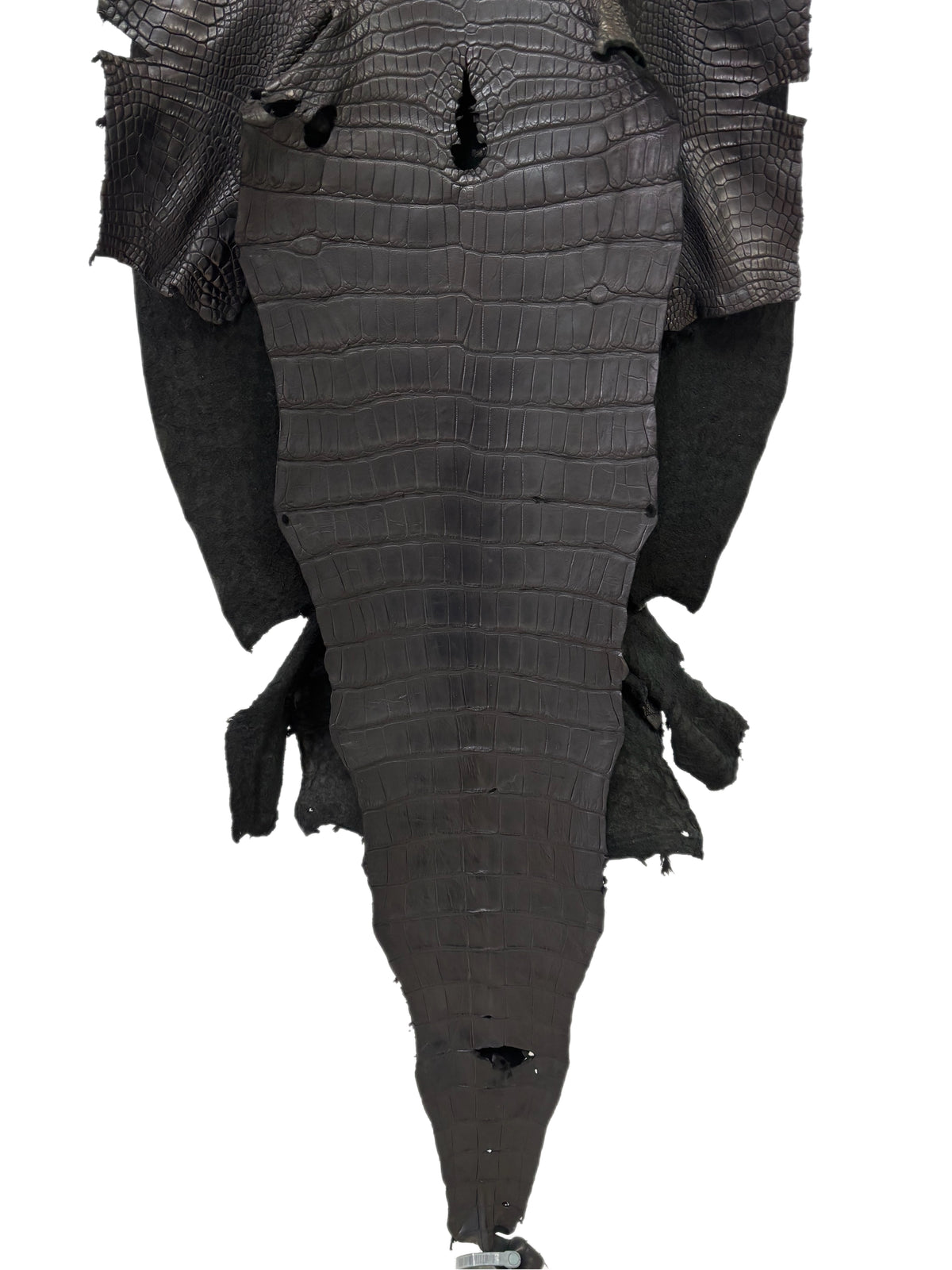 46 cm Grade 2/3 Black Matte Wild American Alligator Leather - Tag: LA23-0051766