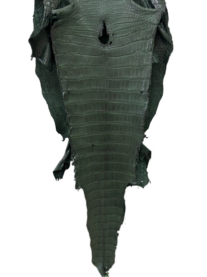 39 cm Grade 2/3 Forest Green Matte Wild American Alligator Leather - Tag: LA23-0020919