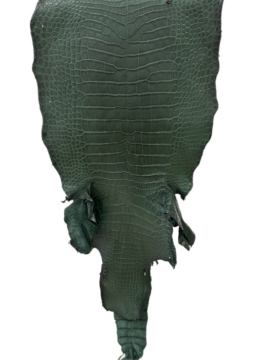 39 cm Grade 2/3 Forest Green Matte Wild American Alligator Leather - Tag: LA23-0020919