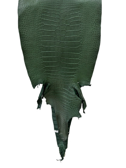 42 cm Grade 2/3 Forest Green Matte Wild American Alligator Leather - Tag: LA16-0024821
