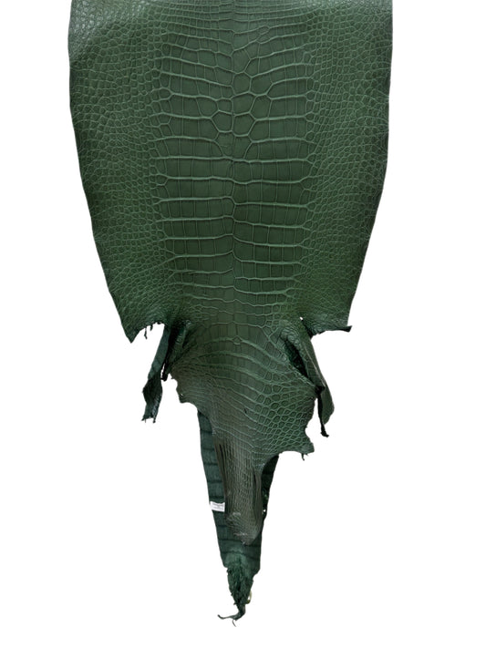 42 cm Grade 2/3 Forest Green Matte Wild American Alligator Leather - Tag: LA16-0024821