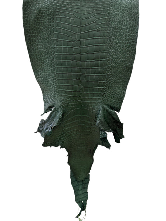 40 cm Grade 2/3 Forest Green Matte Wild American Alligator Leather - Tag: LA23-0030697