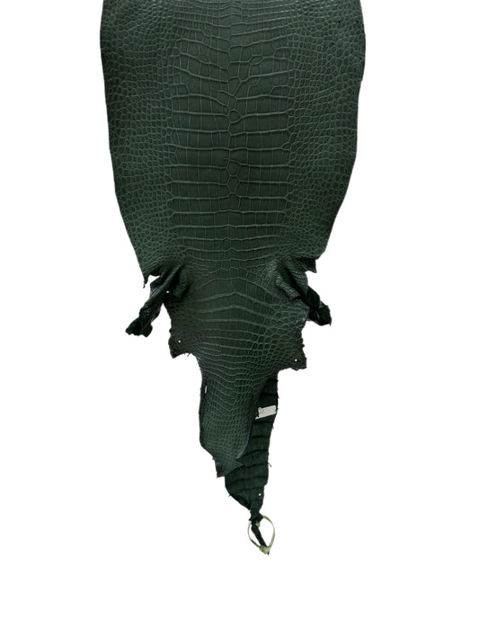 33 cm Grade 2/3 Forest Green Matte Wild American Alligator Leather - Tag: LA23-0002027