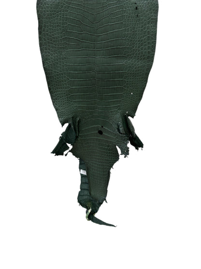 36 cm Grade 2/3 Forest Green Matte Wild American Alligator Leather - Tag: LA23-0048161