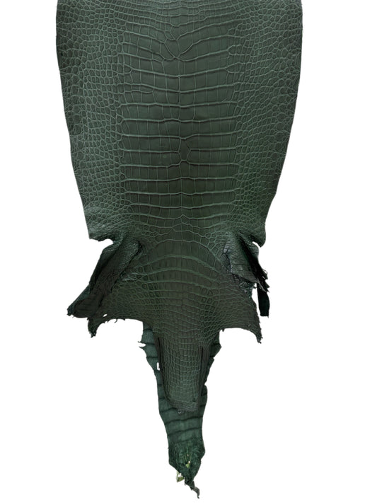 38 cm Grade 1/2 Forest Green Matte Wild American Alligator Leather - Tag: LA23-0006511