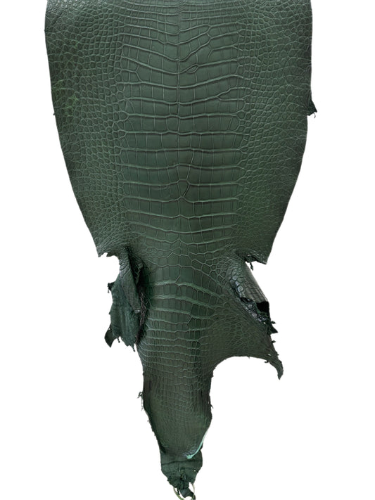 44 cm Grade 2/3 Forest Green Matte Wild American Alligator Leather - Tag: LA23-0033973