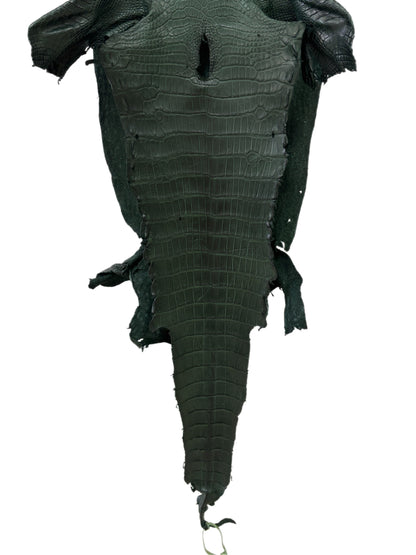 36 cm Grade 2/3 Forest Green Matte Wild American Alligator Leather - Tag: LA23-0004641