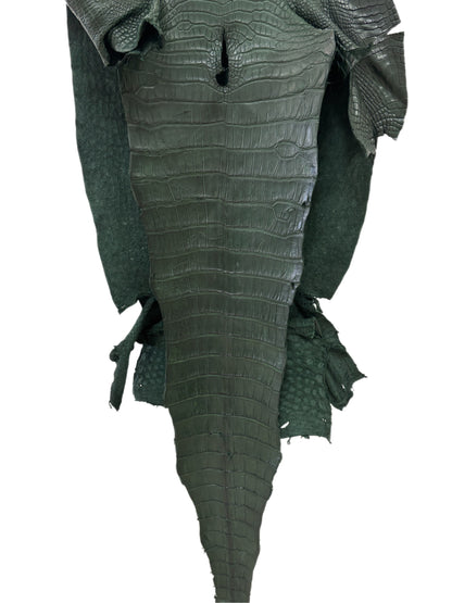 44 cm Grade 2/3 Forest Green Matte Wild American Alligator Leather - Tag: LA23-0051983