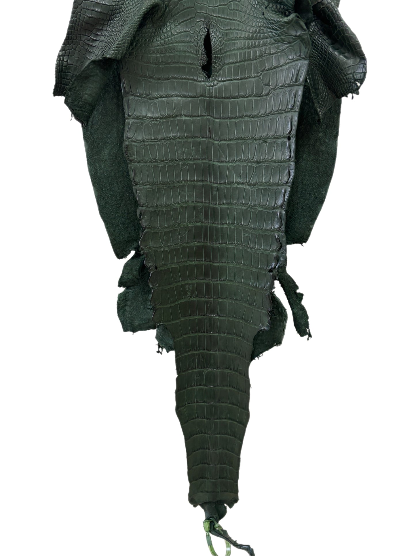 36 cm Grade 2/3 Forest Green Matte Wild American Alligator Leather - Tag: LA23-0001055