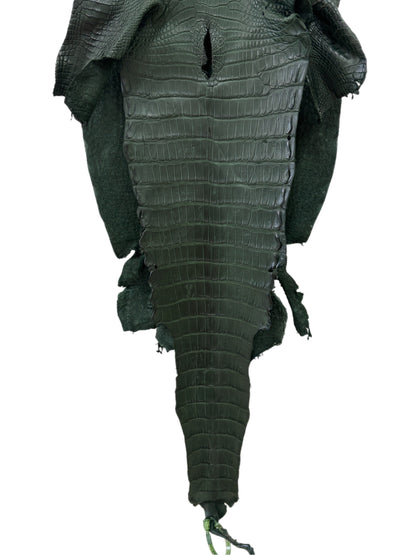36 cm Grade 2/3 Forest Green Matte Wild American Alligator Leather - Tag: LA23-0001055