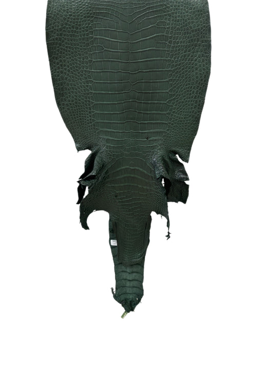 36 cm Grade 2/3 Forest Green Matte Wild American Alligator Leather - Tag: LA23-0001055