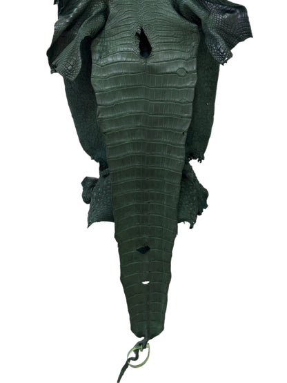37 cm Grade 1/2 Forest Green Matte Wild American Alligator Leather - Tag: LA23-0021534