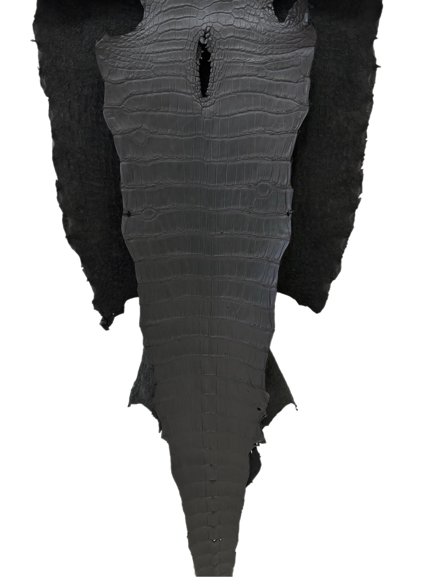 53 cm Grade 3/4 Black Matte Wild American Alligator Leather - Tag: LA23-0033309