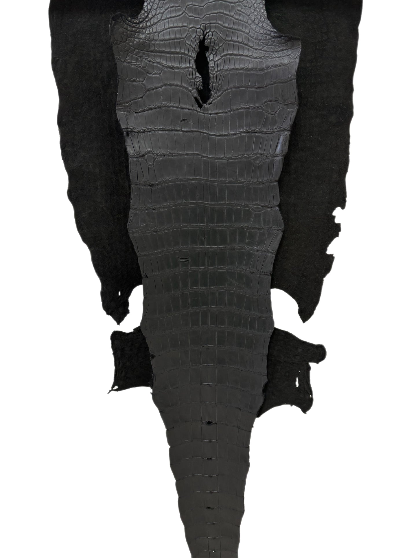 48 cm Grade 2/3 Black Matte Wild American Alligator Leather - Tag: LA22-0021489