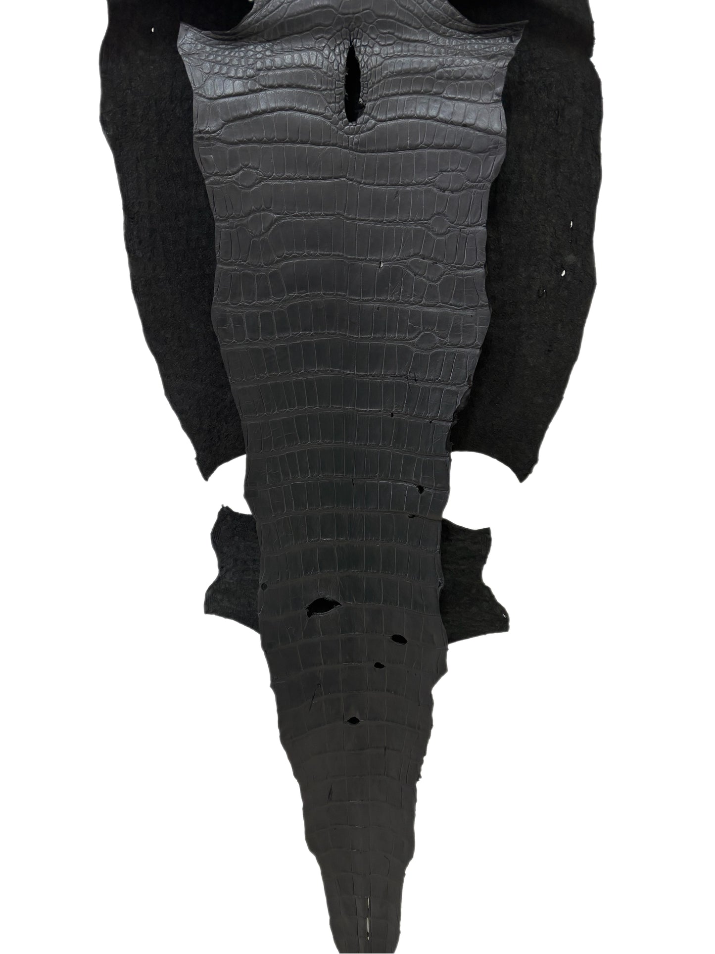 43 cm Grade 3/4 Black Matte Wild American Alligator Leather - Tag: LA22-0004177