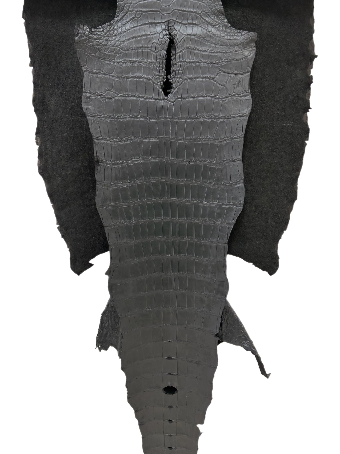 53 cm Grade 2/3 Black Matte Wild American Alligator Leather - Tag: LA22-0021534