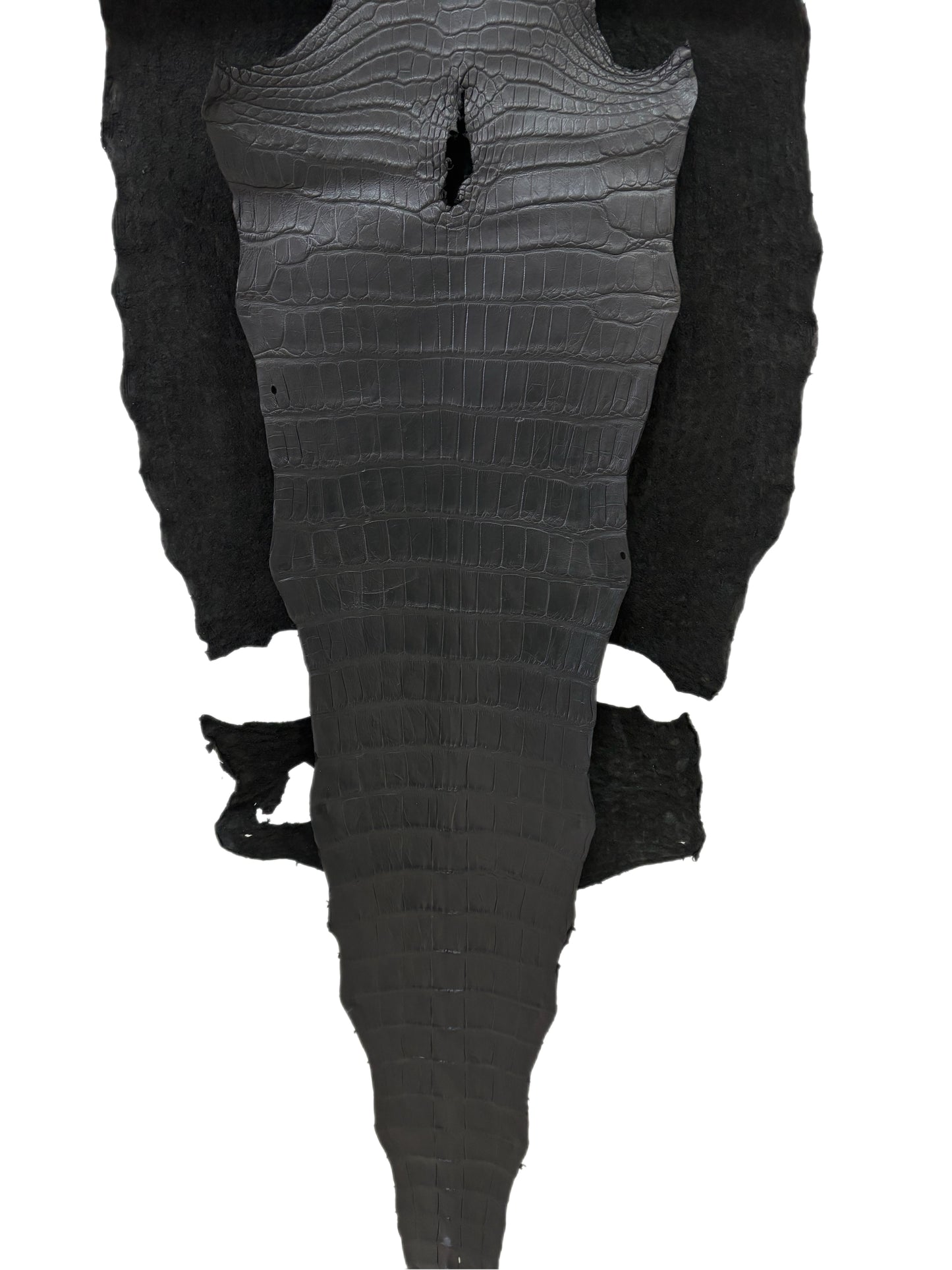 53 cm Grade 2/3 Black Matte Wild American Alligator Leather - Tag: LA23-0022915