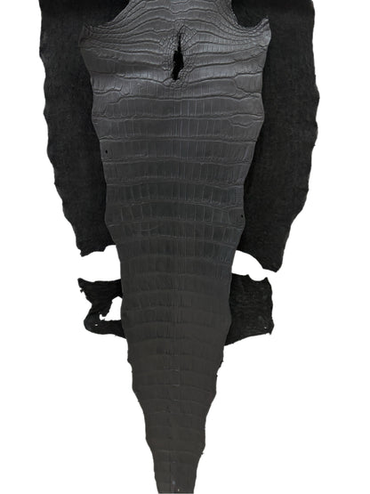 53 cm Grade 2/3 Black Matte Wild American Alligator Leather - Tag: LA23-0022915