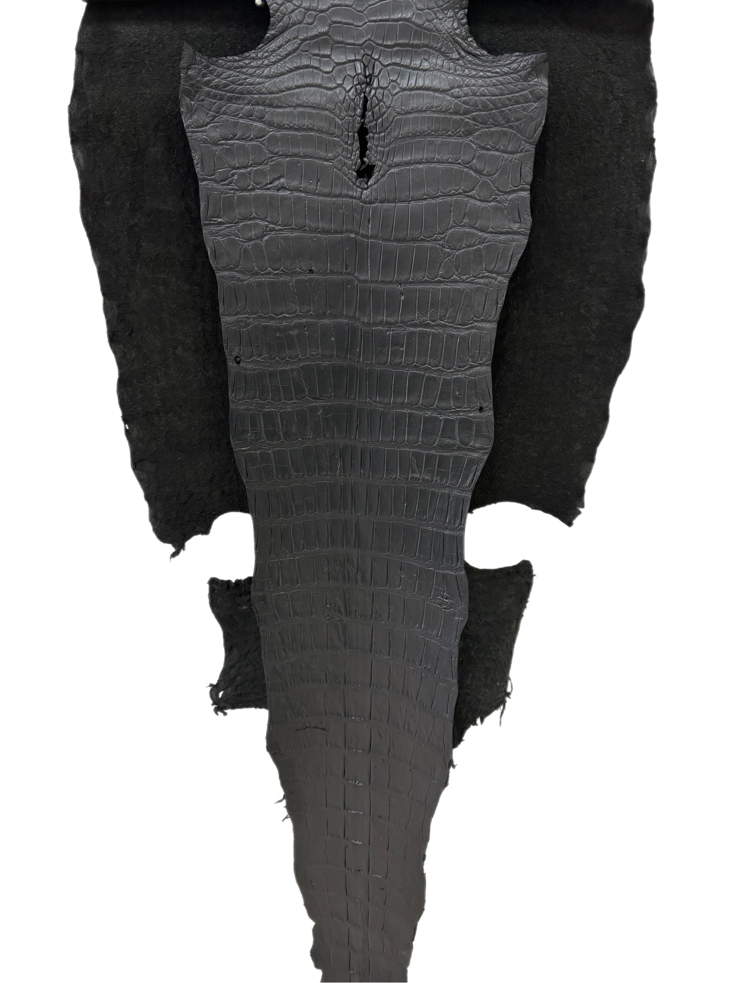 49 cm Grade 3/4 Black Matte Wild American Alligator Leather - Tag: LA22-0021052