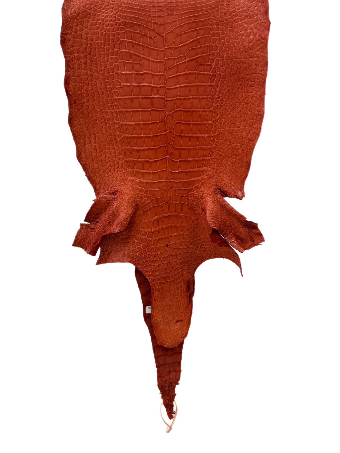 37 cm Grade 2/3 Pumpkin Matte Wild American Alligator Leather - Tag: LA18-0013398