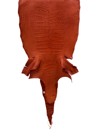37 cm Grade 2/3 Pumpkin Matte Wild American Alligator Leather - Tag: LA18-0013398
