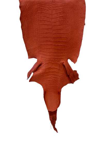 38 cm Grade 2/3 Pumpkin Matte Wild American Alligator Leather - Tag: LA18-0011940