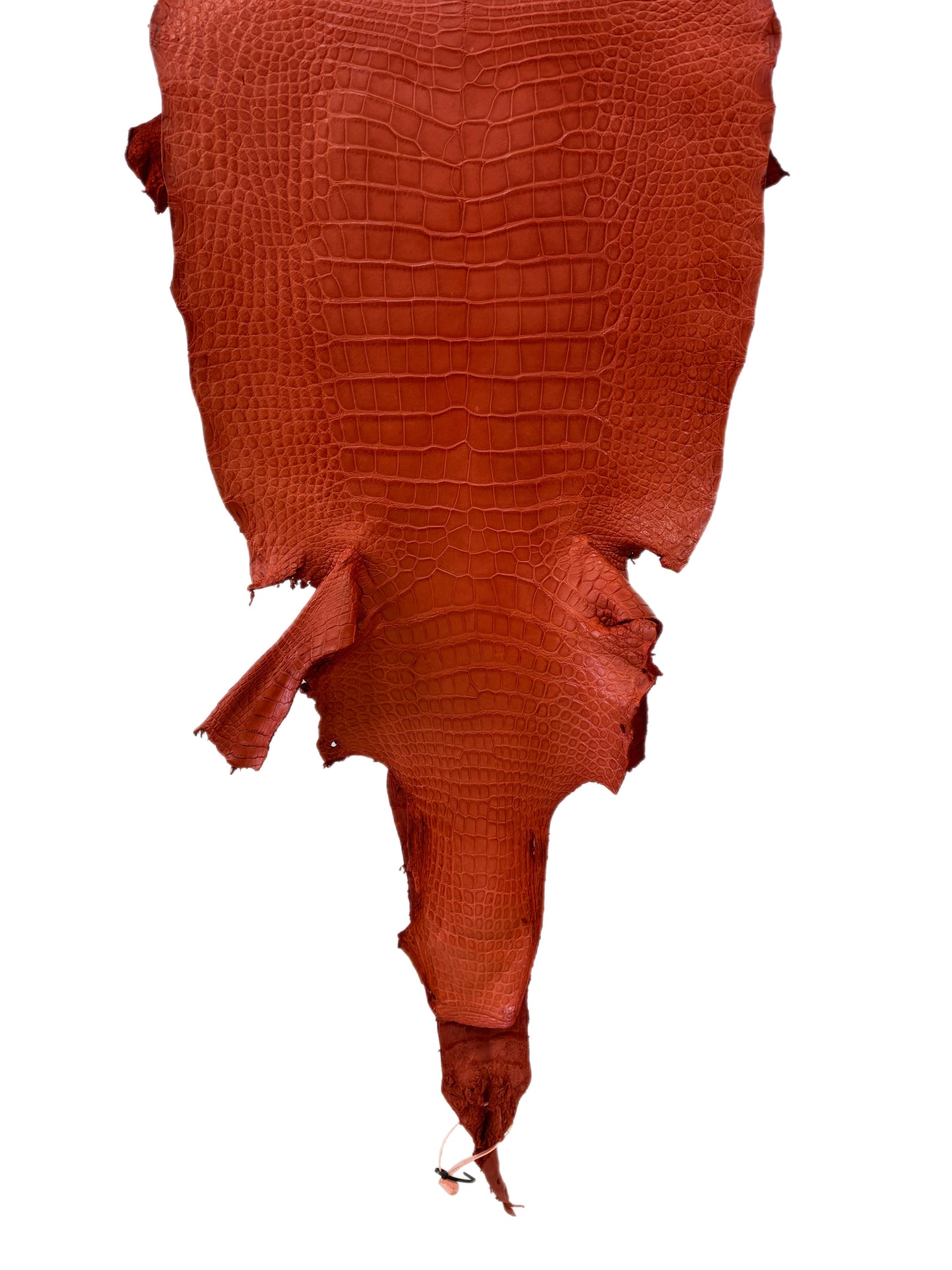 36 cm Grade 2/3 Pumpkin Matte Wild American Alligator Leather - Tag: LA18-0011106