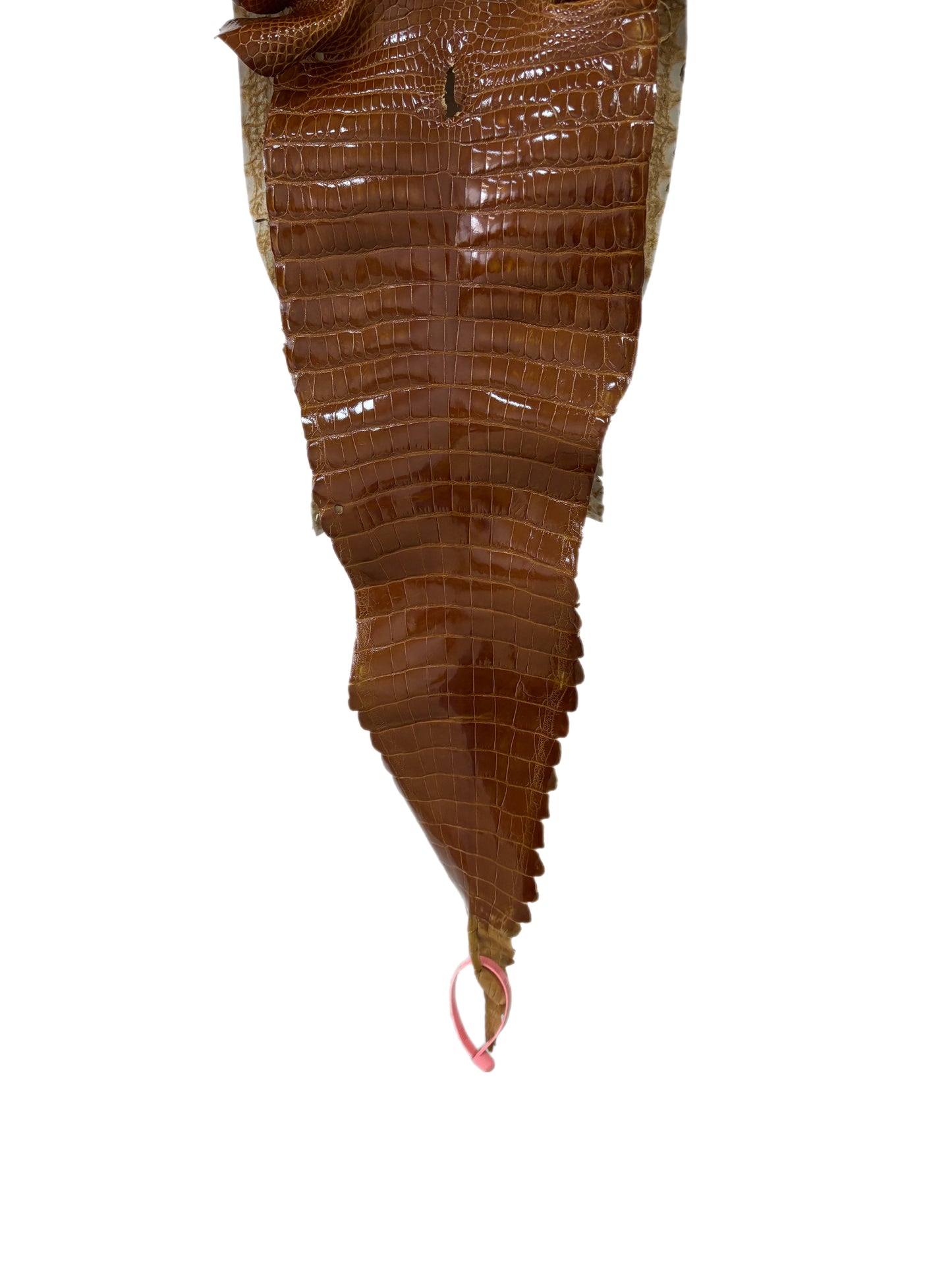 25 cm Grade 1 Cognac Glazed Farm-Raised American Alligator Leather - Tag: FL21-0024611