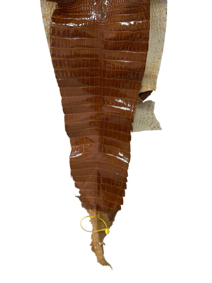 28 cm Grade 2/3 Cognac Glazed Farm-Raised American Alligator Leather - Tag: FL22-0030377