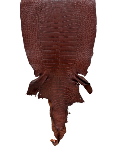 38 cm Grade 2/3 Italian Gold Matte Wild American Alligator Leather - Tag: LA23-0002949