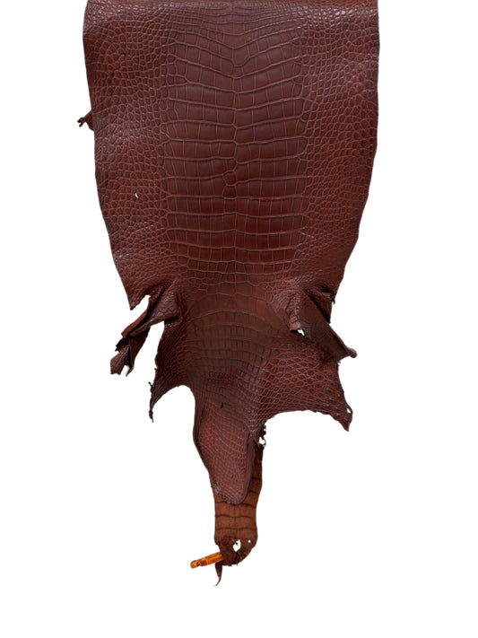 37 cm Grade 2/3 Italian Gold Matte Wild American Alligator Leather - Tag: LA23-0005988