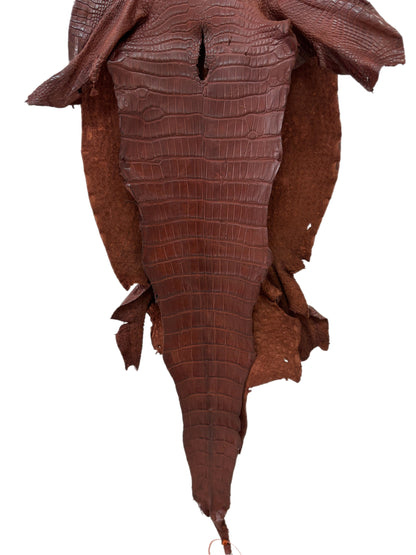 40 cm Grade 3/4 Italian Gold Matte Wild American Alligator Leather - Tag: LA24-0022905